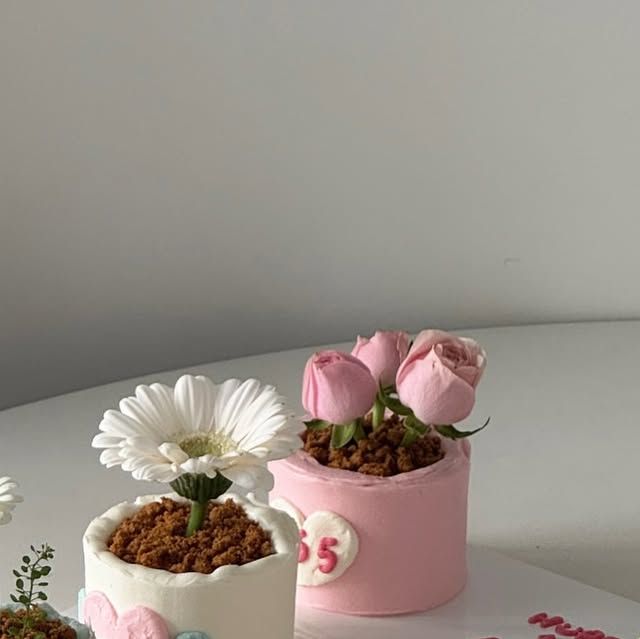 Enchante taller de decorar pastel