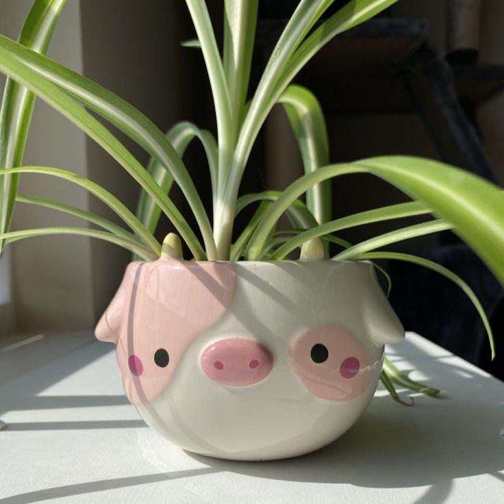 Diseña tu Taza de Arcilla - Design Your Clay Mug